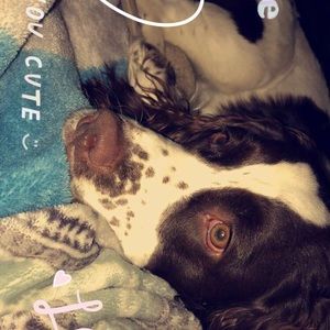 Meet your Posher, Mckenzie